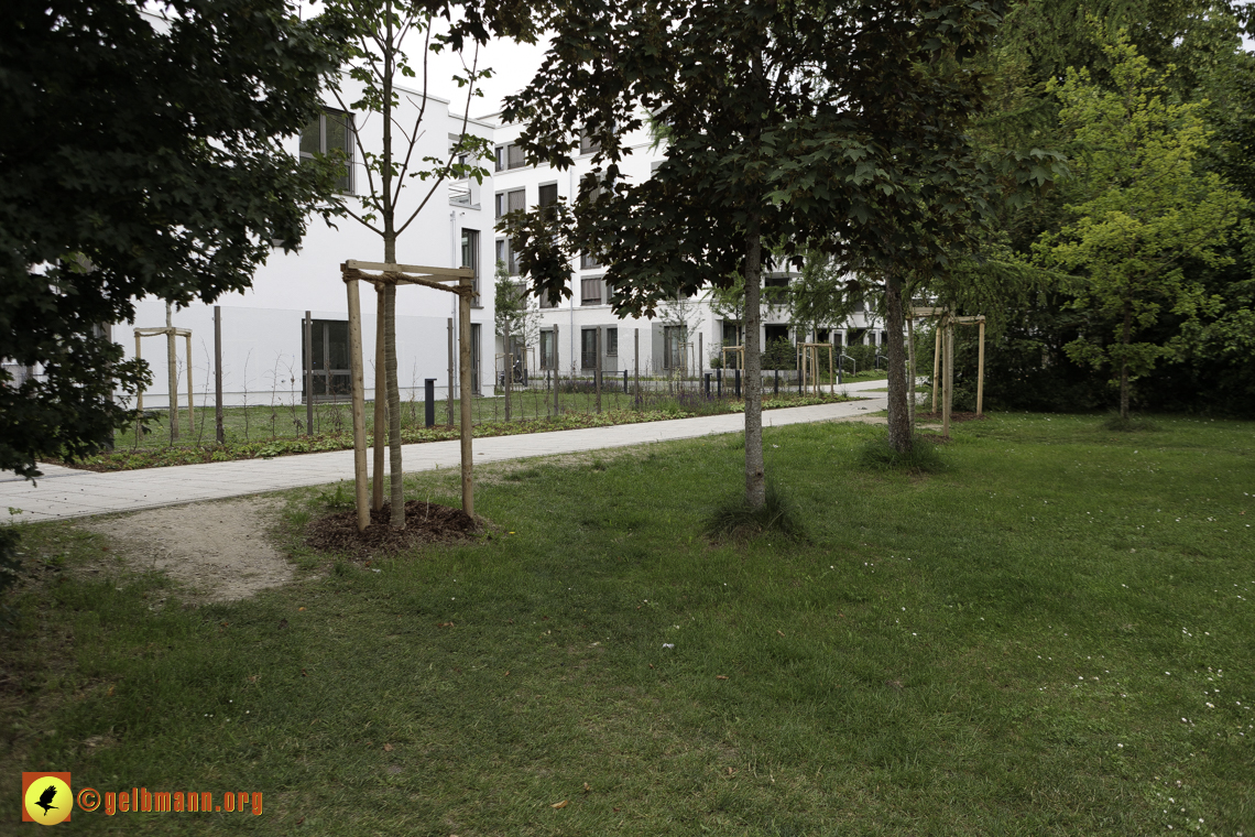 15.06.2024 - Baustelle Pandion Verde und Alexisquartier