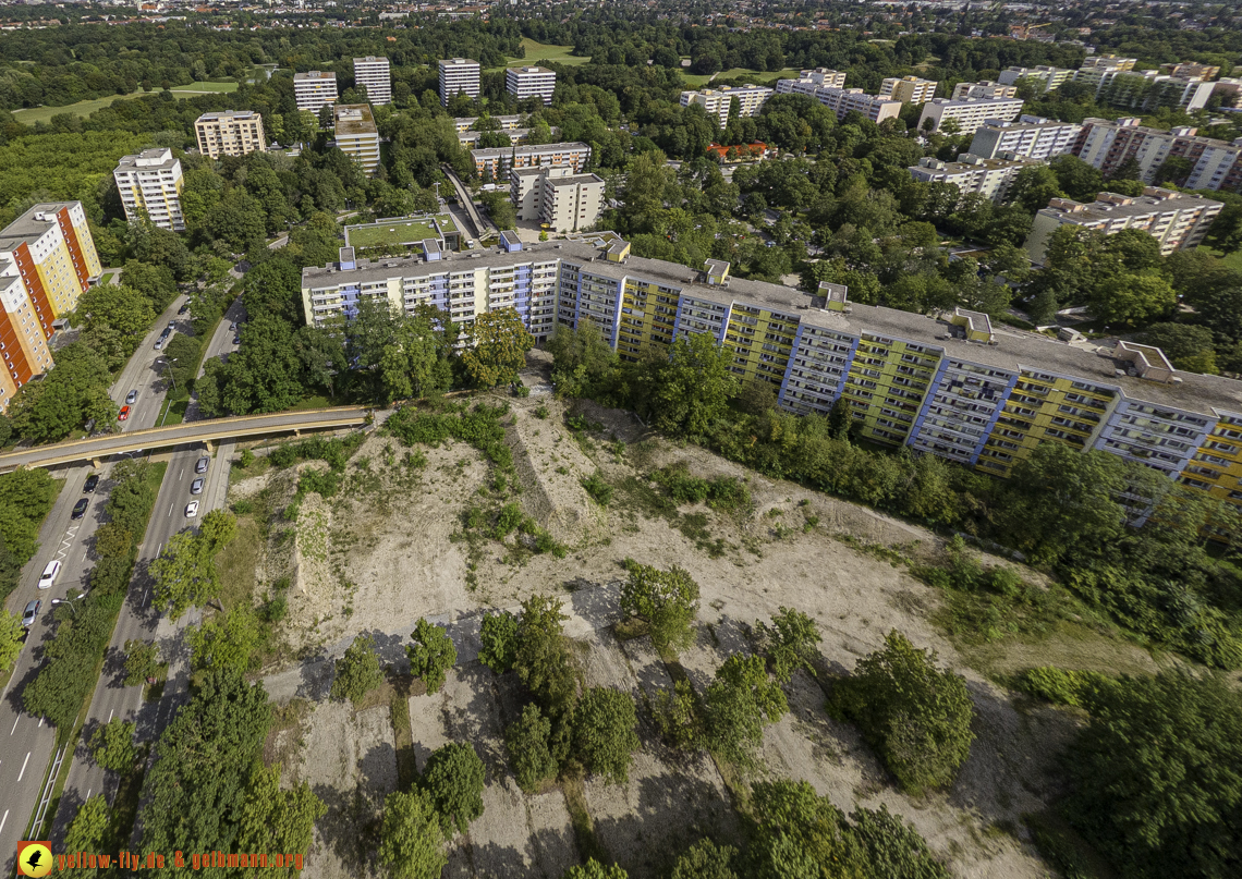 22.08.2024 - das Quiddezentrum als Biotop in Neuperlach