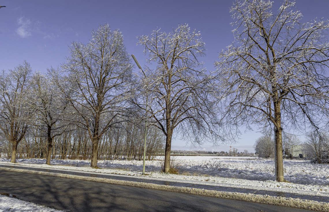 03.01.2025 - Riem-Gronsdorf-Demos-Baustelle
