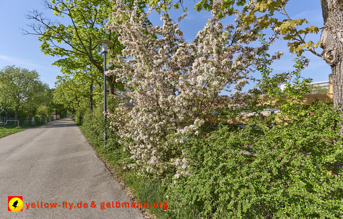28.04.2025 - Grundschule am Karl-Marx-Ring in Neuperlach