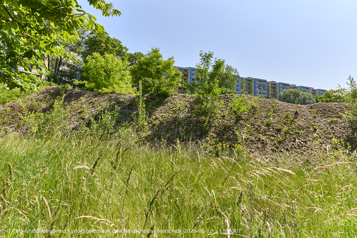 12.06.2025 - das Quiddezentrum im Tiefschlaf in Neuperlach