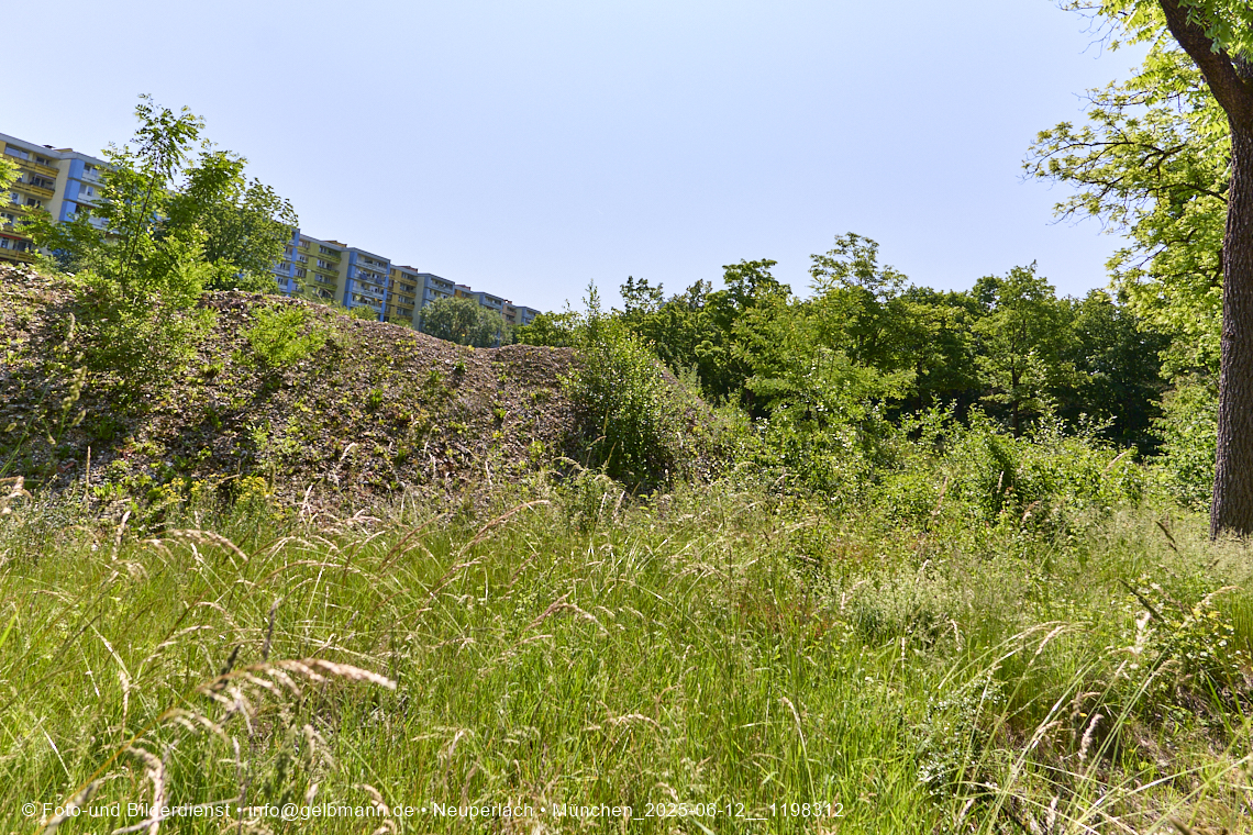 12.06.2025 - das Quiddezentrum im Tiefschlaf in Neuperlach