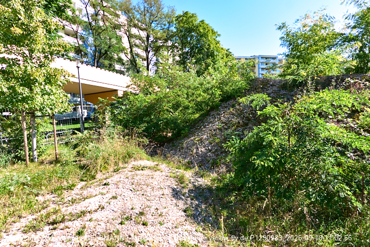 18.09.2025 - BIOTOP auf der Baustelle Quiddezentrum in Neuperlach