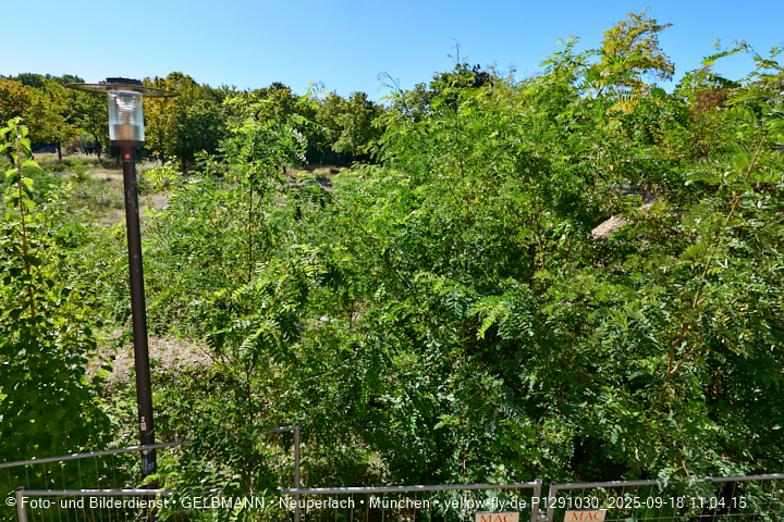 18.09.2025 - BIOTOP auf der Baustelle Quiddezentrum in Neuperlach