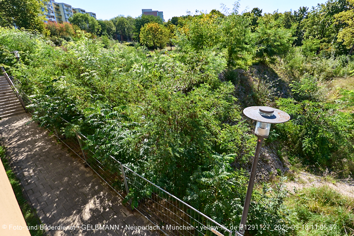 18.09.2025 - BIOTOP auf der Baustelle Quiddezentrum in Neuperlach