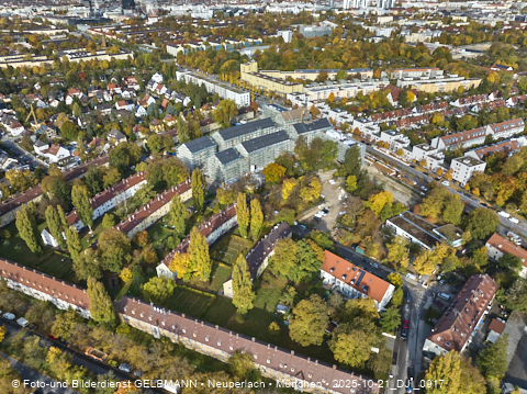 21.10.2025 - Maikäfersiedlung in Berg-Laim