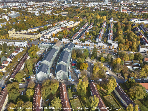 21.10.2025 - Maikäfersiedlung in Berg-Laim