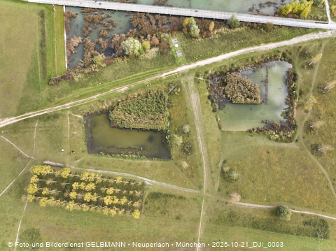 21.10.2025 - Riemersee und Umgebung bei Gronsdorf