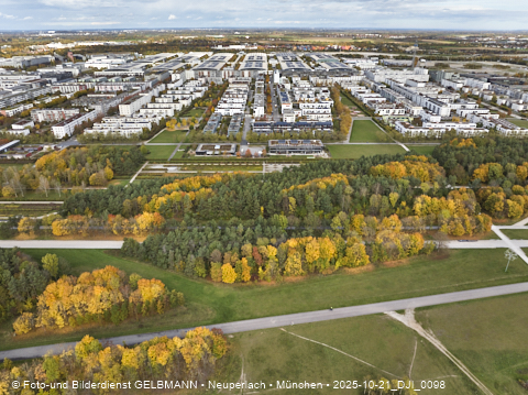 21.10.2025 - Riemersee und Umgebung bei Gronsdorf