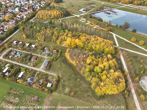 21.10.2025 - Riemersee und Umgebung bei Gronsdorf