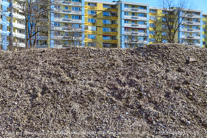 28.02.2026 - verschwundenes BIOTOP auf der Baustelle Quiddezentrum in Neuperlach