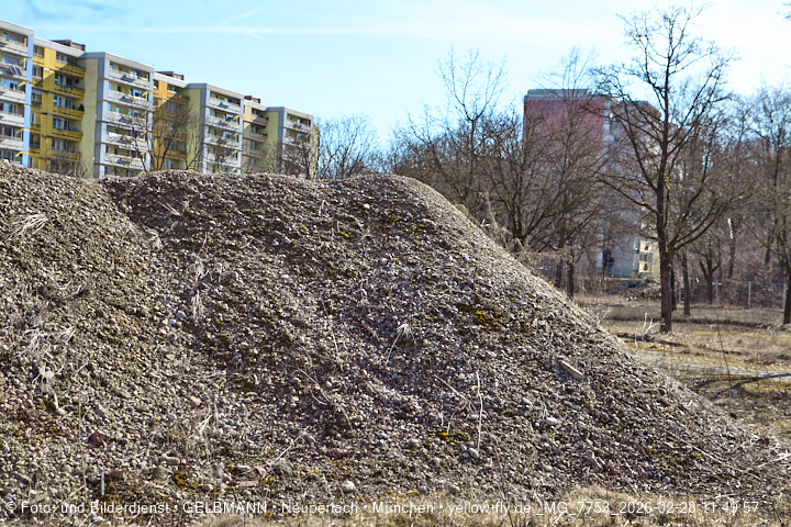 28.02.2026 - verschwundenes BIOTOP auf der Baustelle Quiddezentrum in Neuperlach
