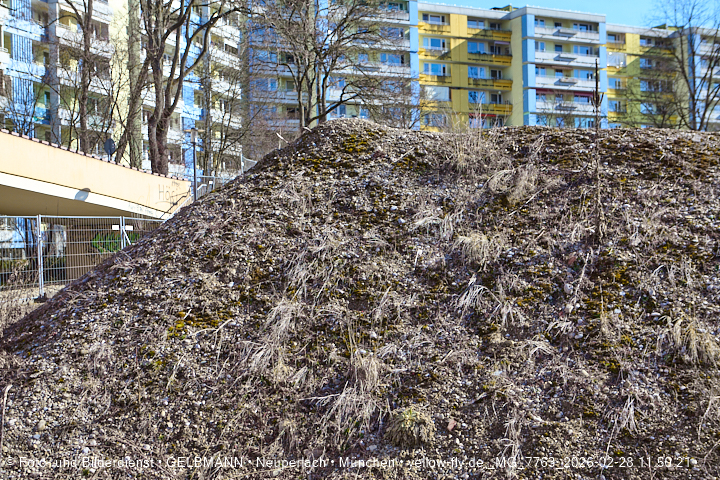 28.02.2026 - verschwundenes BIOTOP auf der Baustelle Quiddezentrum in Neuperlach