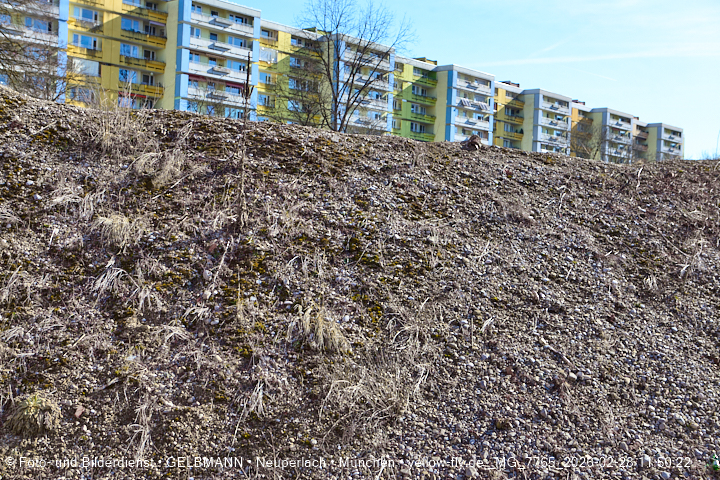 28.02.2026 - verschwundenes BIOTOP auf der Baustelle Quiddezentrum in Neuperlach