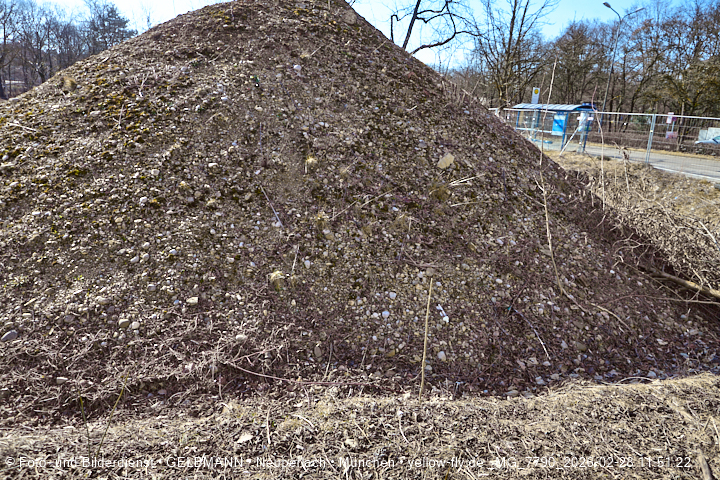 28.02.2026 - verschwundenes BIOTOP auf der Baustelle Quiddezentrum in Neuperlach