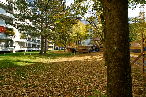 23.10.2019 - Ein Kran für den Oskar-Maria-Graf-Ring 23.10.2019 - Ein Kran für den Oskar-Maria-Graf-Ring