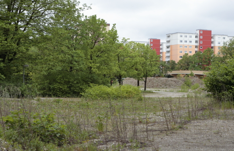 09.05.2024 - STILLSTAND im Quiddezentrum